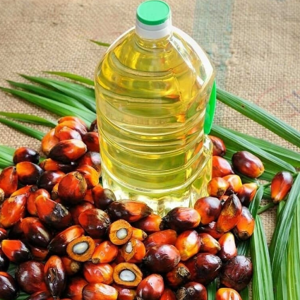 Palm Oil